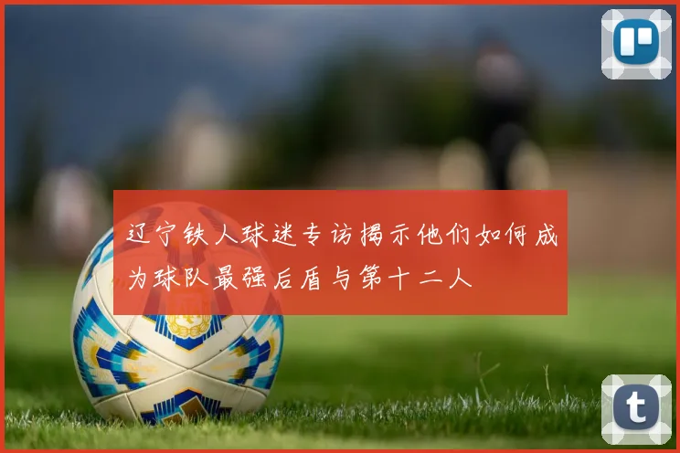 辽宁铁人球迷专访揭示他们如何成为球队最强后盾与第十二人