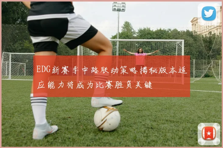 EDG新赛季中路联动策略揭秘版本适应能力将成为比赛胜负关键